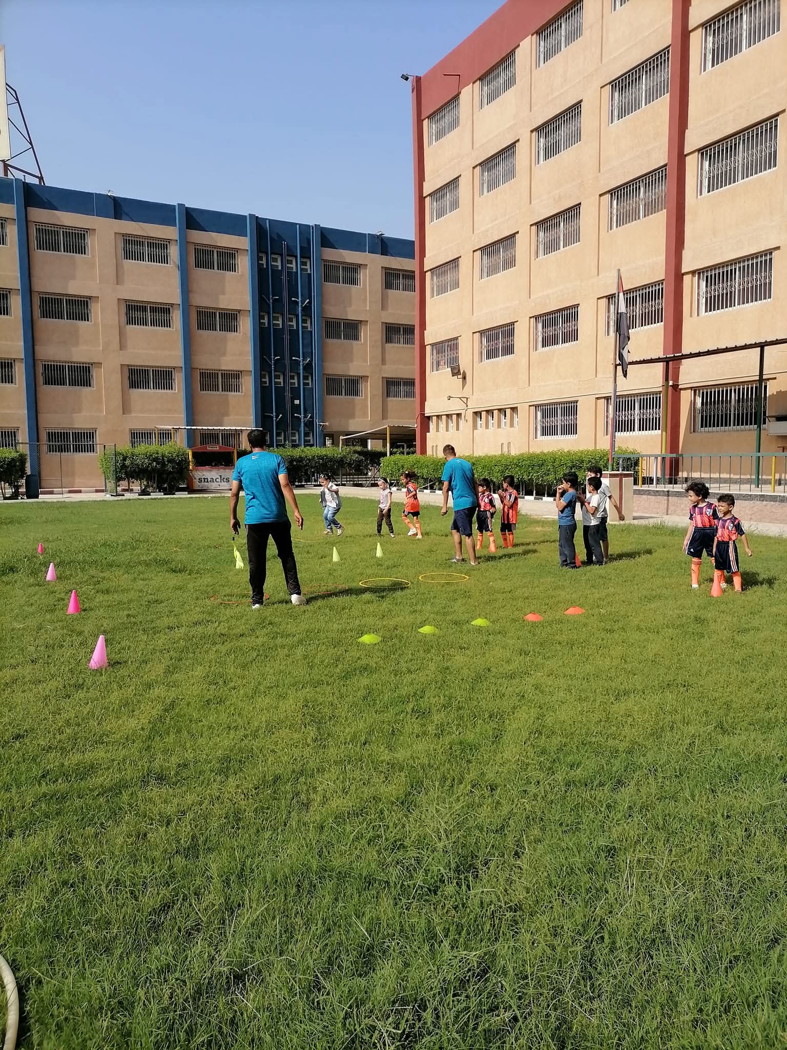 المرحلة الابتدائية